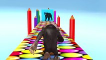 Aprende frutas y animales con divertidos juegos de estilo mono | Videos educativos para niños
