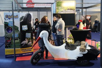 Festivitas, entre Afrique enchantée et menus enchanteurs