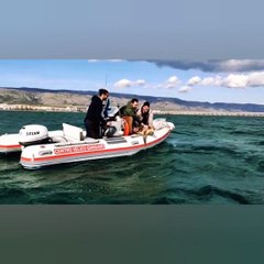 LIBERAZIONE TEMPESTA tartaruga Marina Manfredonia
