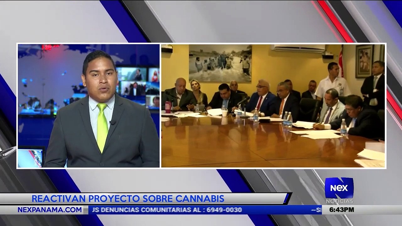 Reactivan proyecto sobre cannabis  - Nex Noticias