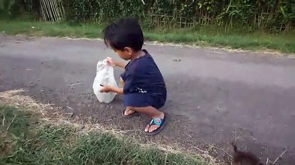 Evakuasi Kucing Cat Resque Escort Evacuation