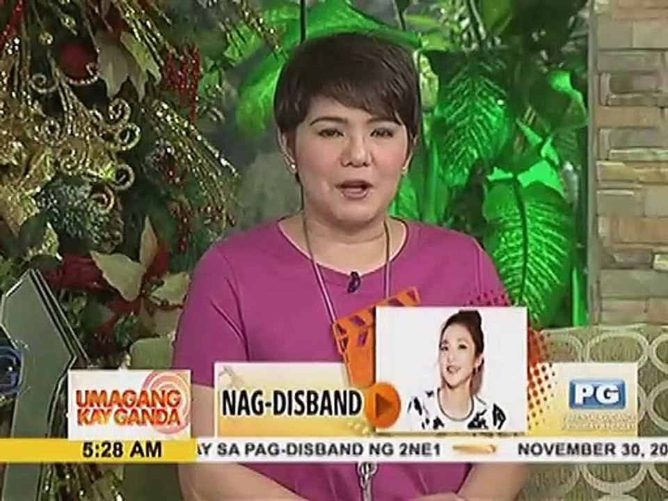 Sandara Park, nagsalita kaugnay sa pag-disband ng 2NE1