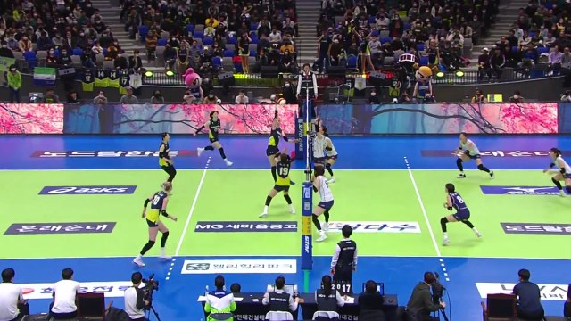 여자부 1위 현대건설·남자부 2위 대한항공, 나란히 3연승 / YTN