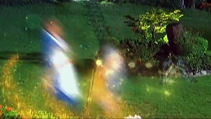 Reyna Diwata, tinapos na ang kaguluhan na ginawa ni Elisa