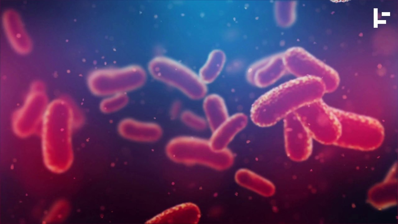 Cancer and Diabetes Could be Contagious