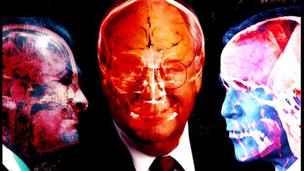 TOP 10 VENENOS MÁS LETALES DEL MUNDO