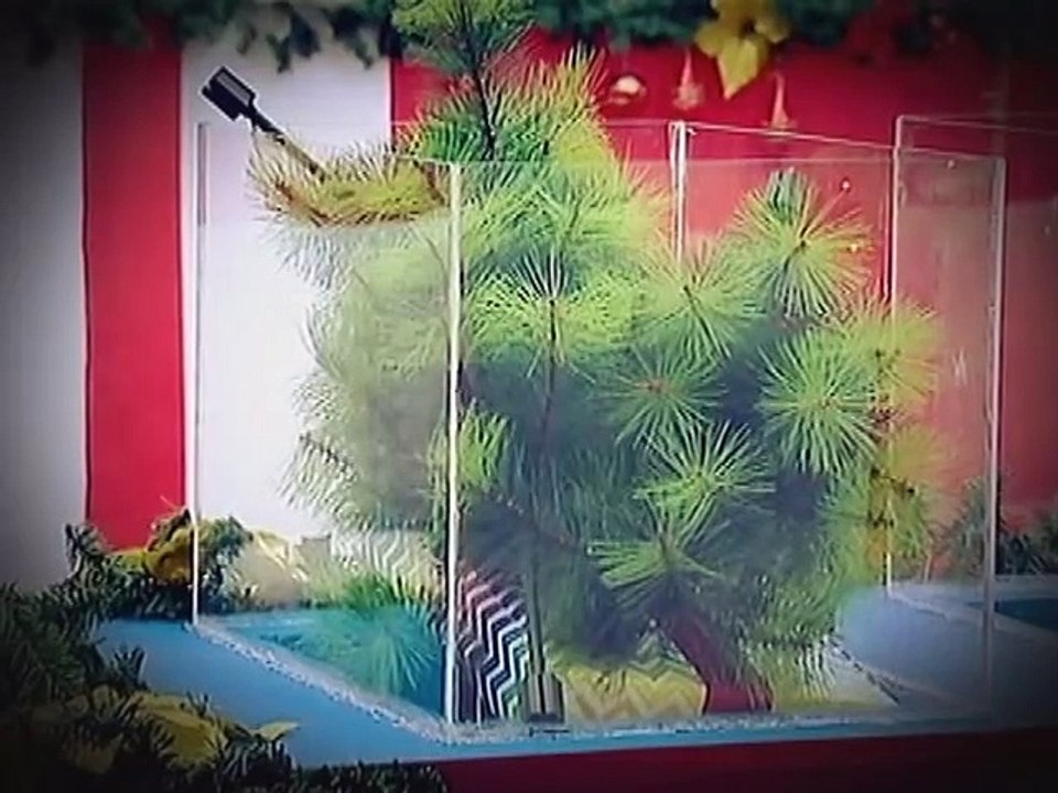 Tanner, masaya na makitang buo ang kanyang pamilya