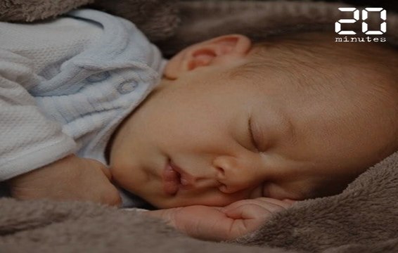 Assistantes maternelles, crèches, haltes-garderies… Comment sont gardés les enfants de moins de 3 ans ?