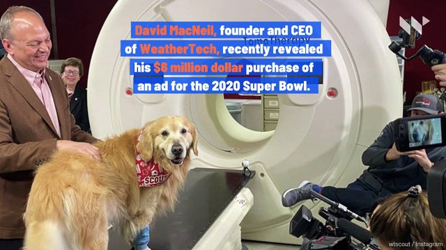 Man Buys $6 Million Super Bowl Commercial to Thank Vets Who Saved His Dog