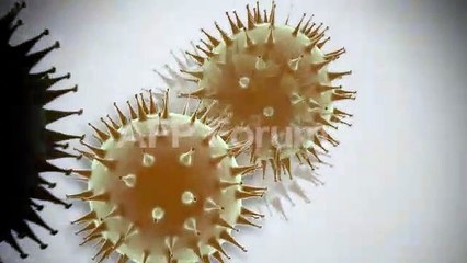 Cómo surgió el coronavirus