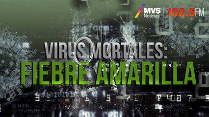 Virus mortales: Fiebre amarilla