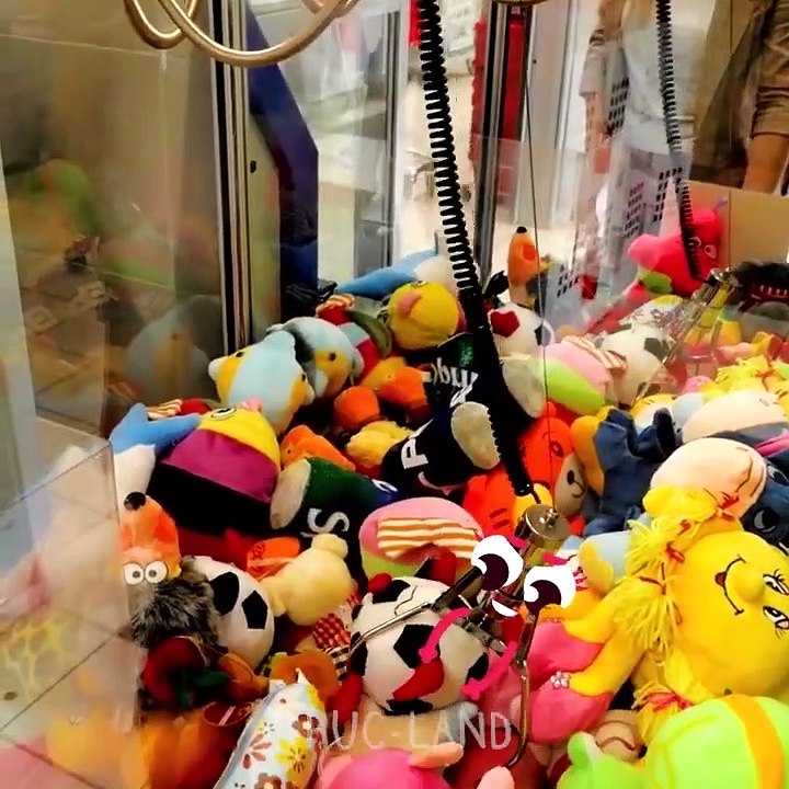 Les petits trucs espiègles apprennent de nouvelles choses - TRUC-LAND