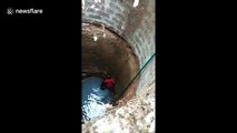 Brave woman saves stray dog from bottom of 30-foot-deep well in India