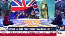 Brexit : quelle relation future entre l’UE et le Royaume-Uni ? (2/2) - 30/01