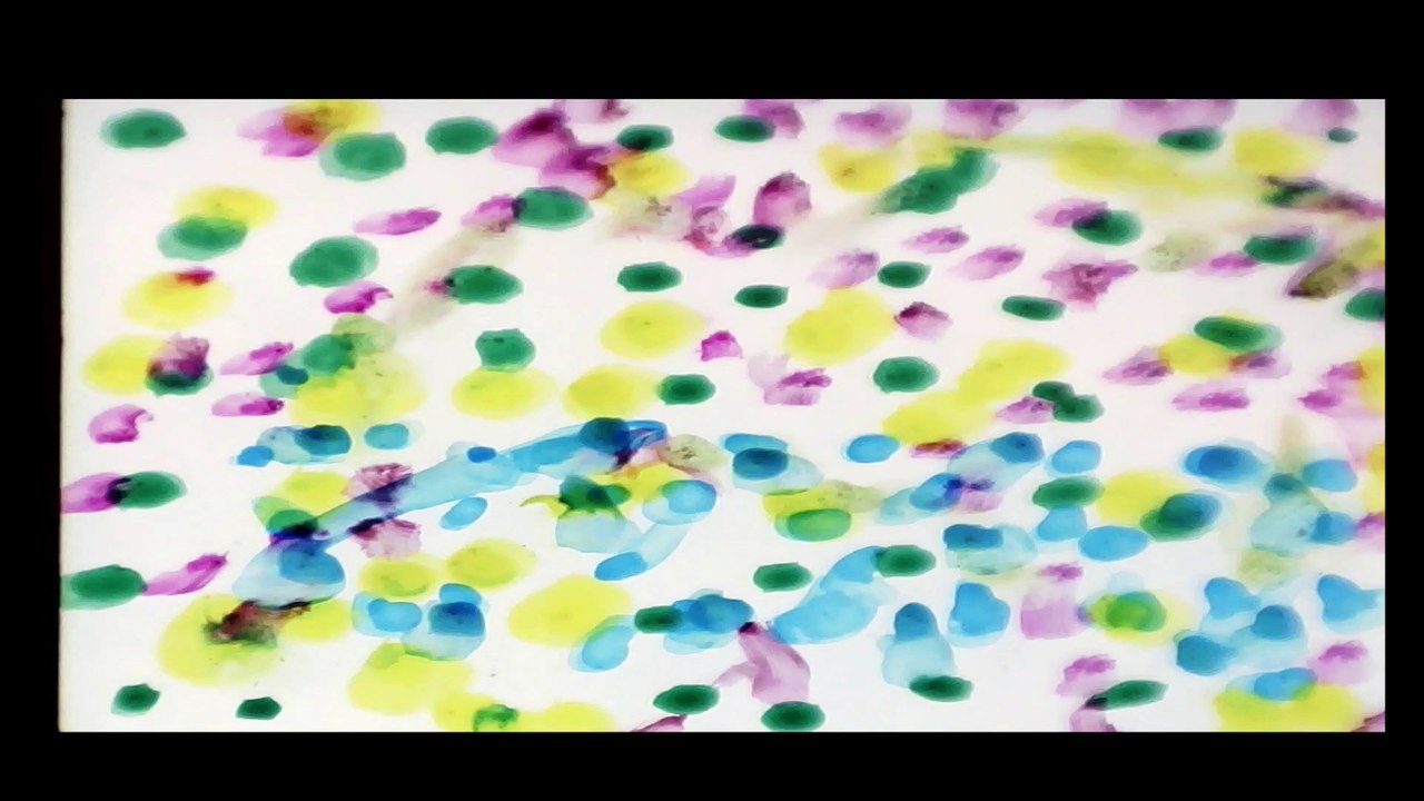 LE SECRET (from images by S. Woloshen and other found footage)