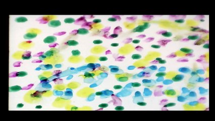 LE SECRET (from images by S. Woloshen and other found footage)