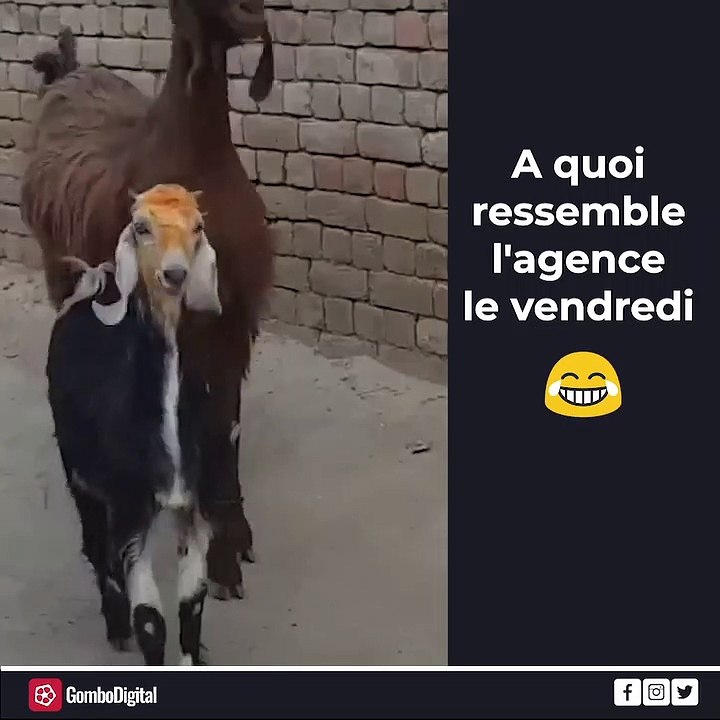 Quand c'est le week-end