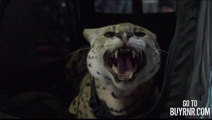 WATCH Everything That Went Down At The RnR 11 WEIGH IN Including 3'11'' TEO Snatching The Lightweight Title Out Of 4'2'' Smidge's Hands...