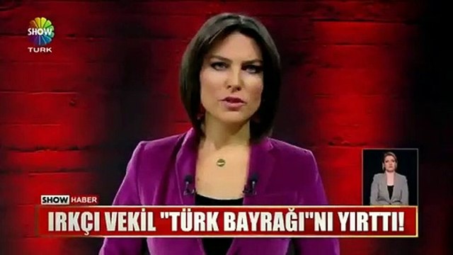 Ece Üner Türk bayrağını yırtan küstah Yunan vekili fena gömdü