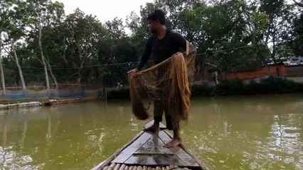 Fish hunting  beautiful video /fishing in  pond