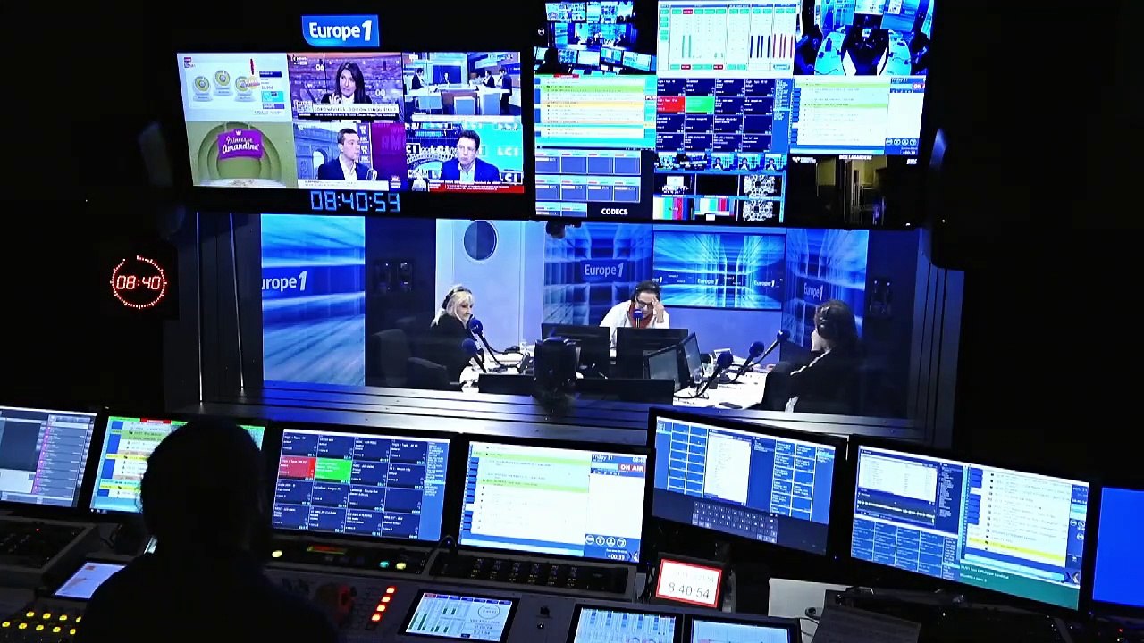 Pourquoi les champignons sont-ils essentiels pour les arbres ?