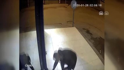 İş yerinden 10 cep telefonu çalan şüpheli tutuklandı