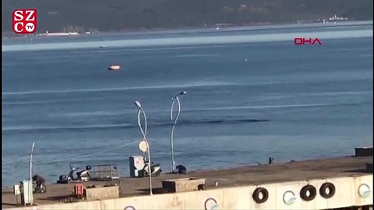 Çanakkale Boğazı'nda yunuslardan görsel şölen