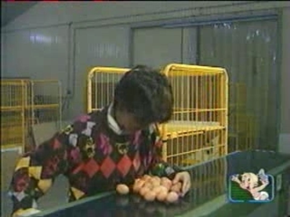 Tapis roulant d'oeuf