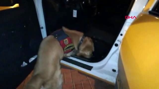 Mersin 'fındık' sentetik uyuşturucuya izin vermedi