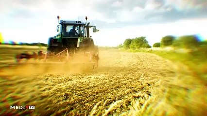 يوميات الفلاح - 31/01/2020