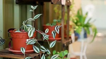 2020 Primary & Secondary Weekly Tuition and Enrichment Programmes