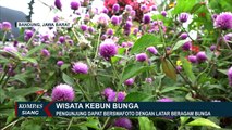 Jelang Akhir Pekan, Tempat Ini Bisa Menjadi Pilihan Kamu Berwisata!