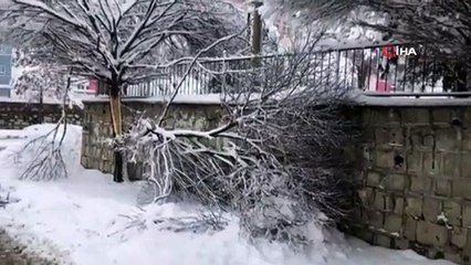 Yoğun kar çok sayıda ağacın kırılmasına neden oldu