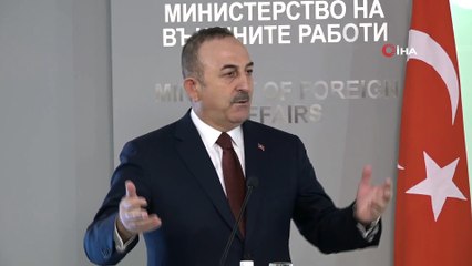 Çavuşoğlu: "Bu Irkçı Parlamenterin Şanlı Bayrağımıza Yönelik Tavrı Elbette Kabul Edilemez"