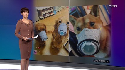 김주하의 1월 31일 '이 한 장의 사진'