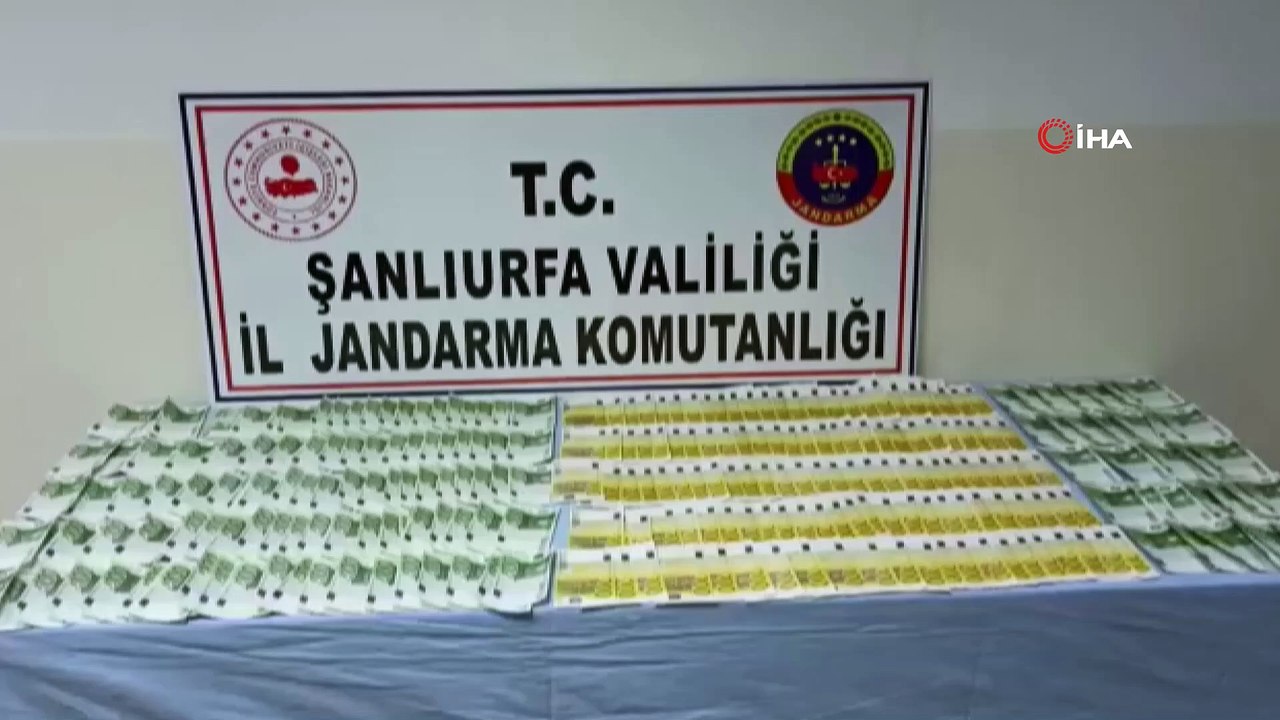 Şanlıurfa'da sahte döviz ve tarihi eser kaçakçılığı operasyonu