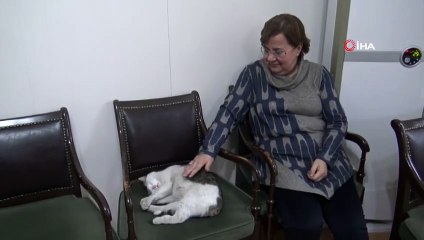 'Boncuk' Kışı Geçirmek İçin Valilik Binasını Seçti