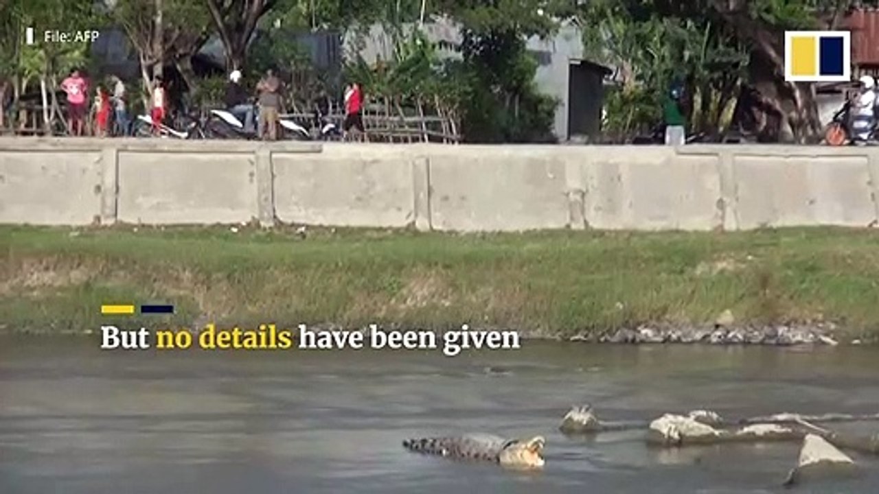 Les autorités indonésiennes offrent une récompense à quiconque pourra venir en aide à un crocodile marin ayant un pneu de moto coincé autour du cou - VIDEO