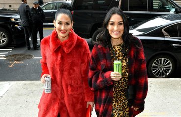 Brie Bella didn't speak to Nikki Bella for a week after pregnancy news