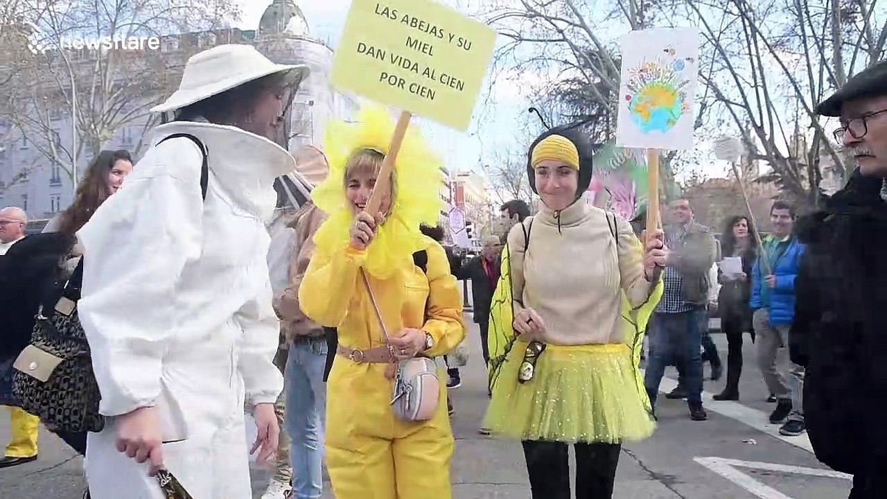 Hundreds join demonstration campaigning for the survival of bees in Spain
