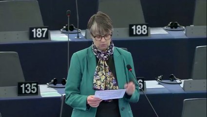 Brexit Party MEP commits colossal self-own in EU parliament