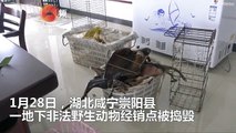Stalls in China found to be selling illegal animals