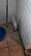 Dour : de l'eau est remontée par les toilettes et la baignoire !