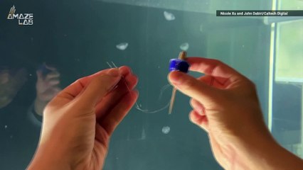 Bionic Jellyfish May Someday Roam Earth’s Oceans
