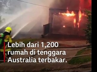 Kebakaran hutan Australia yang sudah berlangsung beberapa bulan ini adalah yang terparah dalam sejarah