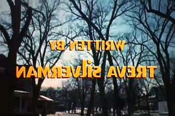 The Mary Tyler Moore Show Season 3 Episode 14 Rhoda Morgenstern Minneapolis To New York