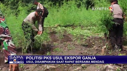 Politisi PKS Usul RI Ekspor Ganja