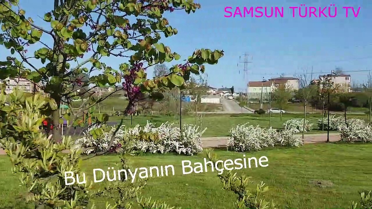 SAMSUN TÜRKÜLERİ - Dünyanın Bahçesi - Beni yılan gibi soktun