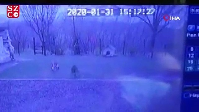 Dehşet anları saniye saniye kaydedildi