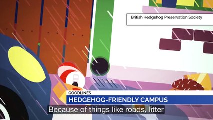 GOODLINES: 1st February 2020